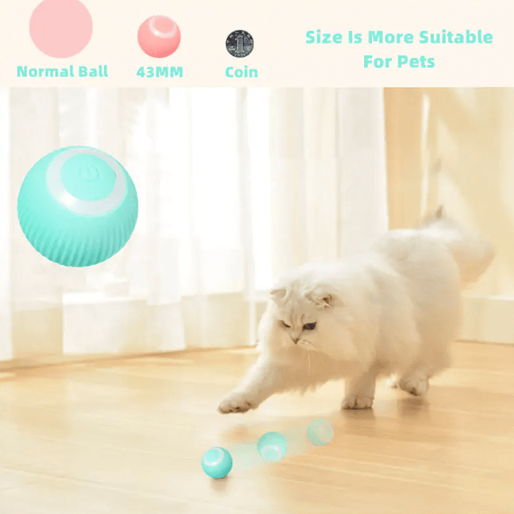 Smart Cat Ball Toys - Snaplify