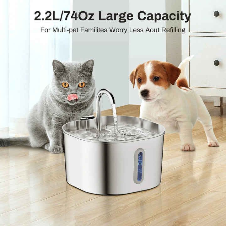 ZYFeeder Automatic Pet Water Fountain - Snaplify